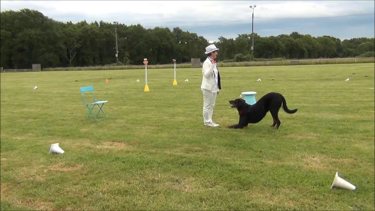 Obérythmée au club, juin 2014