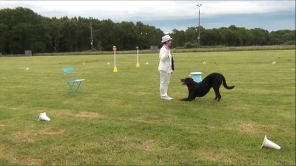 Obérythmée au club, juin 2014