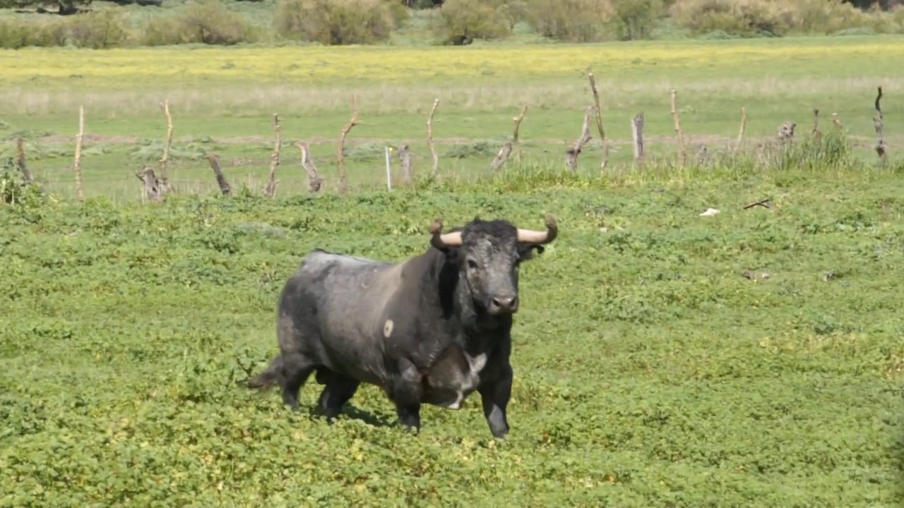 Hros de Felipe Bartolome Sanz