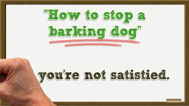 How to stop a barking dog training
