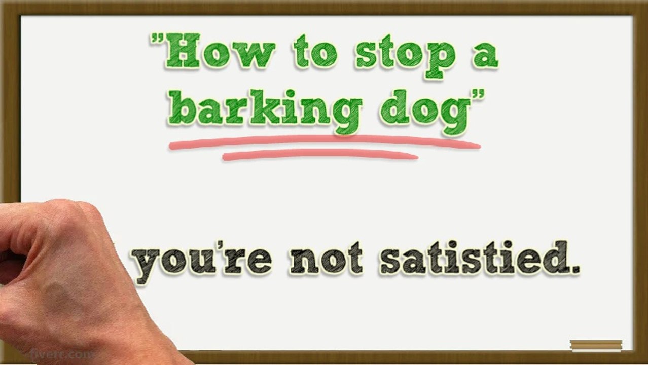 How to stop a barking dog training