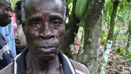 Mars Global Chocolate Supports Cocoa Action