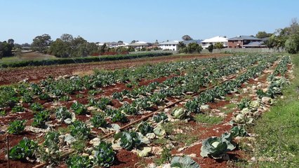 Leveraging Better Outcomes