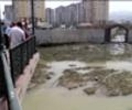 Şüpheli valiz için seferber oldular