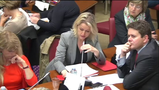 Audition de Benoît Hamon, Ministre de l'éducation nationale, par la commission des affaires culturelles et de l'éducation