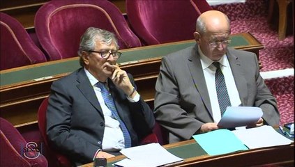 Débat sur l'aménagement du territoire - Pierre Camani - 18 novembre 2013