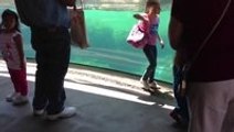 Little Girl and Sea Lion play tag