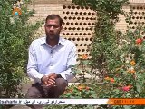 نقطہ نگاہ | Sahar TV Urdu| 15 Khordad , Start of Islamic Revolution