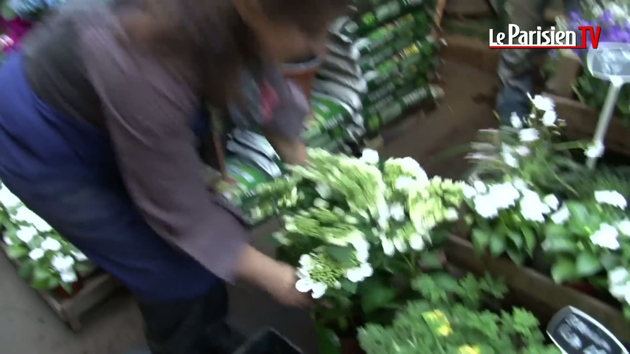 Un fleuriste parisien aura quatre minutes pour "séduire" la reine d'Angleterre