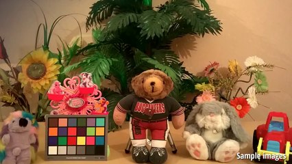 Nokia Lumia 630 Review