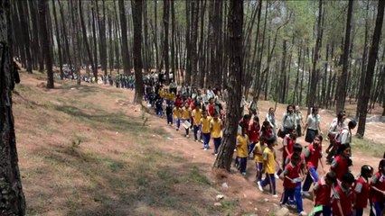 ¿Récord de abrazos a los árboles?