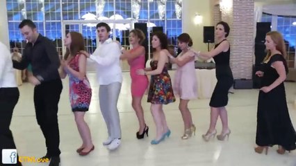 Fenomen Olan Penguen Dansı