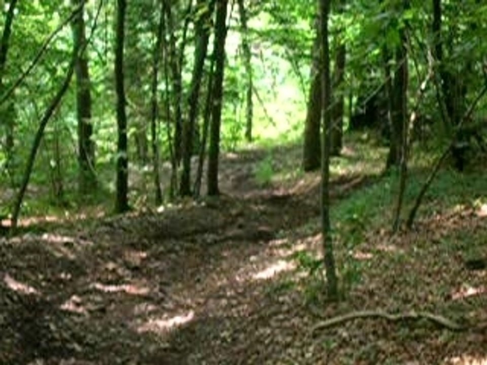 Dscn0552