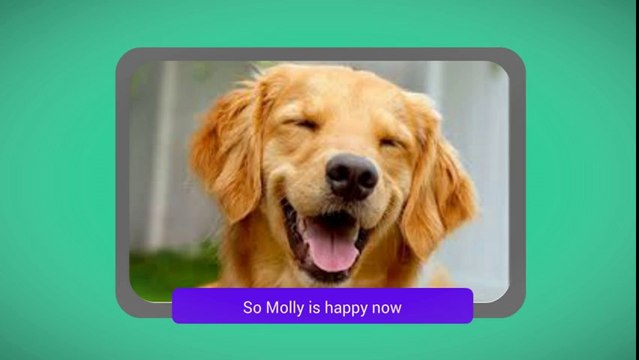 Dog Training in Orange County - Falco K9 Academy