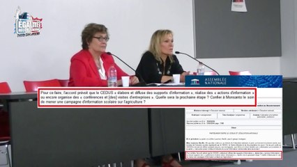 Conférence de Marion Sigaut et Claire Séverac à Nantes 2/2