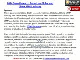 2014 Deep Research Report on Global and China STMP Industry