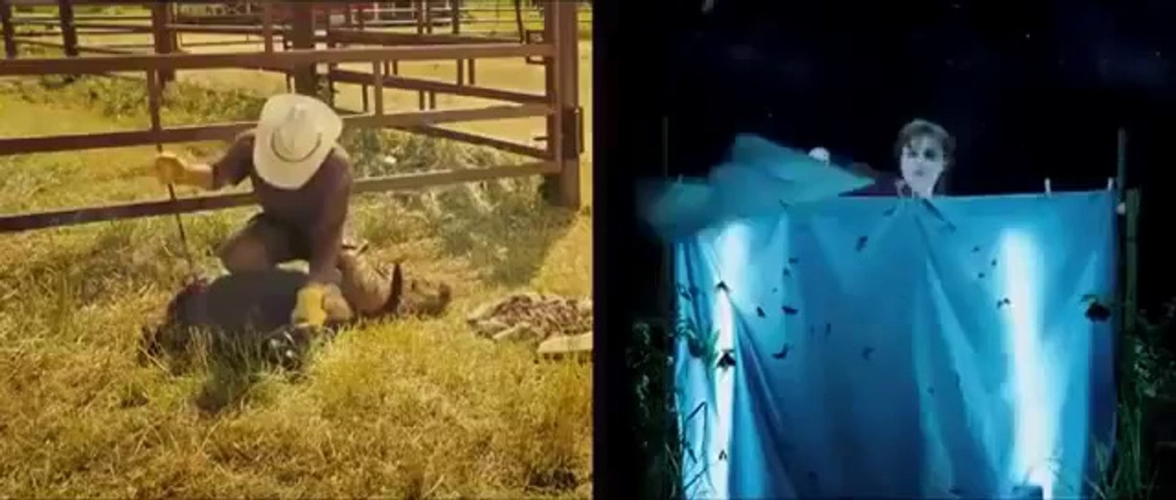 El extraordinario viaje de T S  Spivet - Trailer en español HD