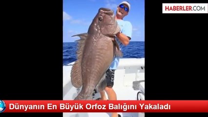 Dünyanın En büyük balığı yakalandı
