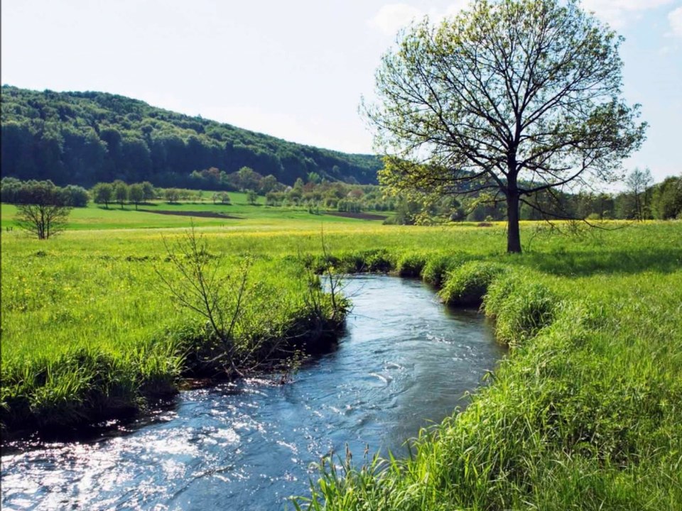 La rivière