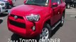 Toyota Dealer Peoria, AZ | Toyota Dealership Peoria, AZ