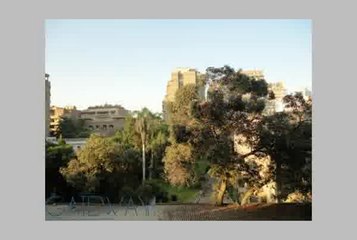 Duplex for rent in Zamalek un furnished  Greens view