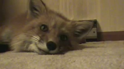 ♧블랙잭하는곳＠♬▤▶ ＹＡＭ ７７７.℃OM ◁▤▲블랙잭하는곳블랙잭하는곳블랙잭하는곳블랙잭하는곳블랙잭하는곳블랙잭하는곳블랙잭하는곳블랙잭하는곳