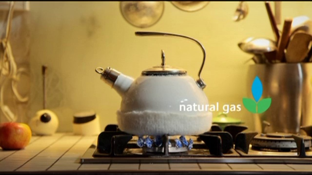 gasnaturelbelge