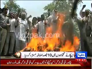 Protests in Lahore & Multan against Nawaz government budget , Protestors burnt teddy lion in protest