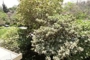 Unfurnished Villa for Rent in Maadi Degla with Private Garden.