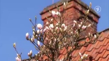 Rote Rosen : Malte vs. Yvonne II Folge 1738