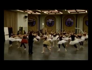 La Danse, le ballet de l'Opéra de Paris (2009)