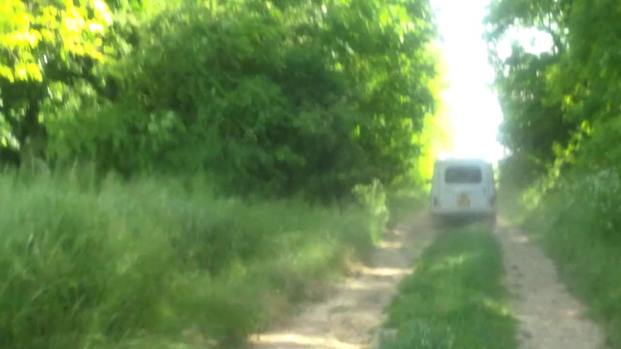 HDV_0811