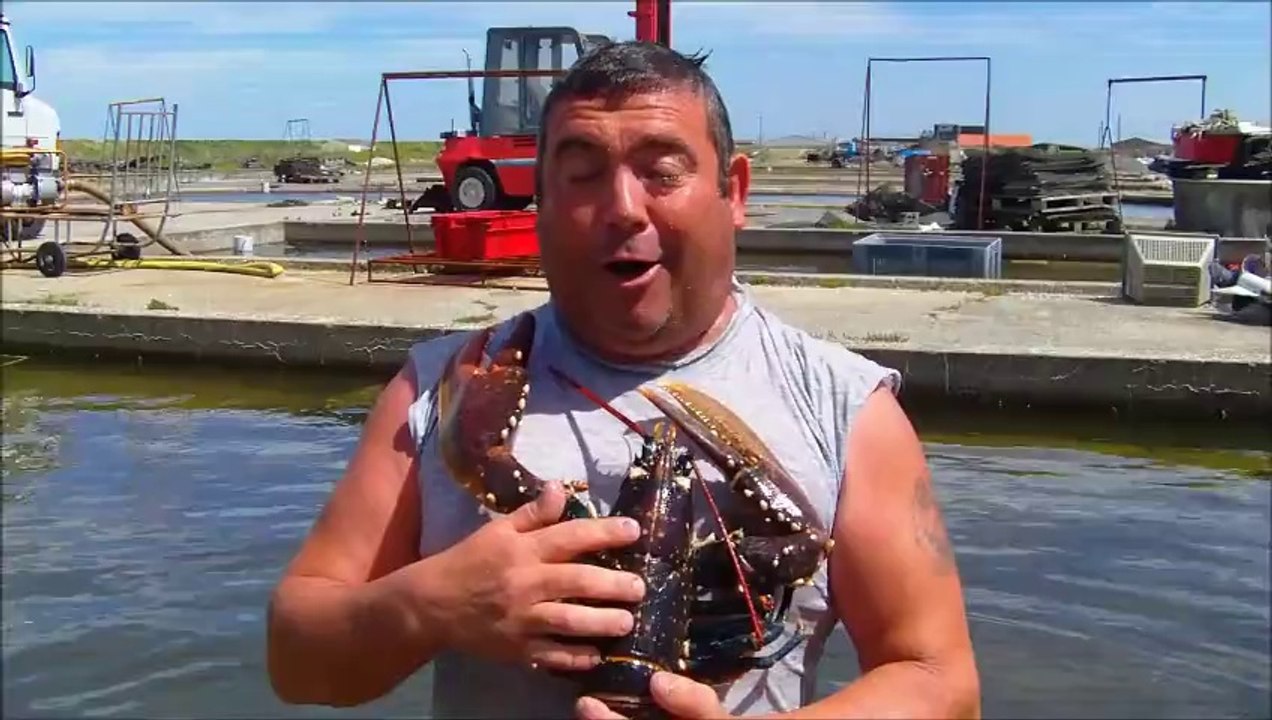 Kéké ou pas Kéké by Pétrolette