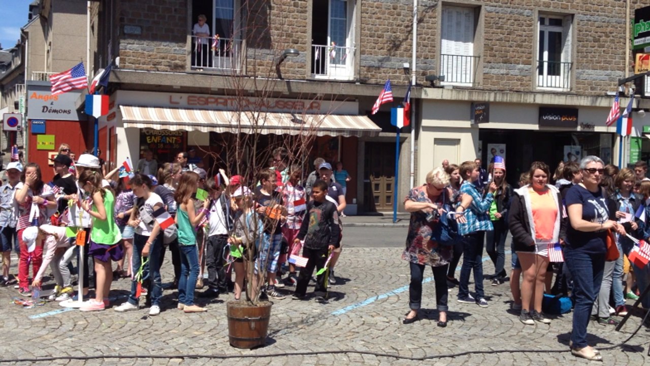 Les arbres de la paix