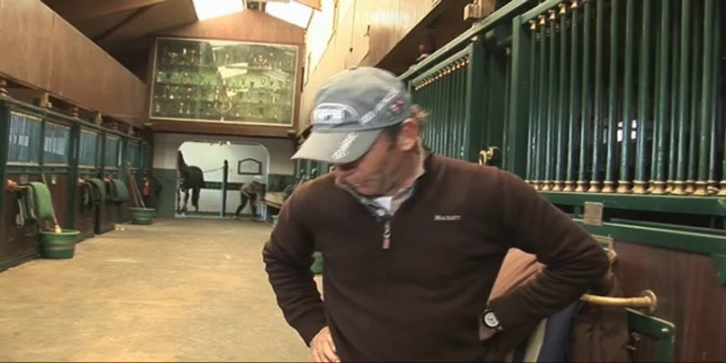 Cheval Pratique - Focus équipement : Les chaps et les mini-chaps