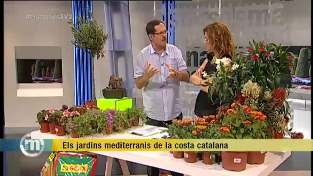 TV3 - Els Matins - Els jardins mediterranis de la costa catalana