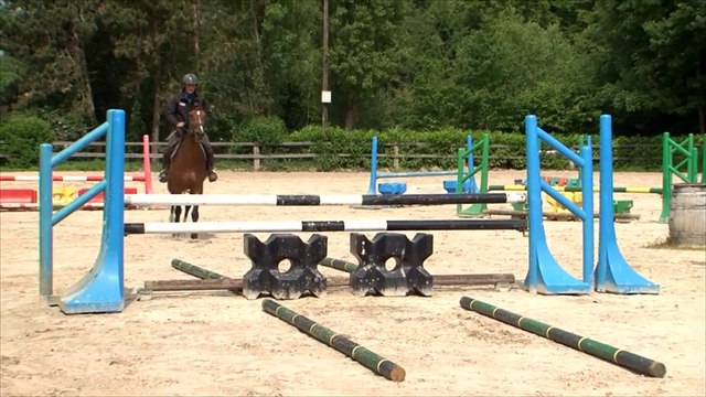 Cheval Pratique - L'obstacle avec Francis Rebel : La rectitude