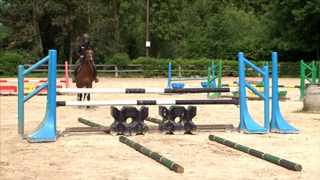 Cheval Pratique - L'obstacle avec Francis Rebel : La rectitude
