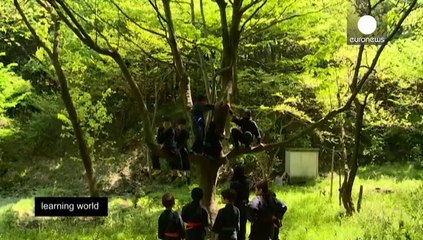 Bu efsaneler gerçek mi? Ninjalar, UFO'lar ve cüceler...