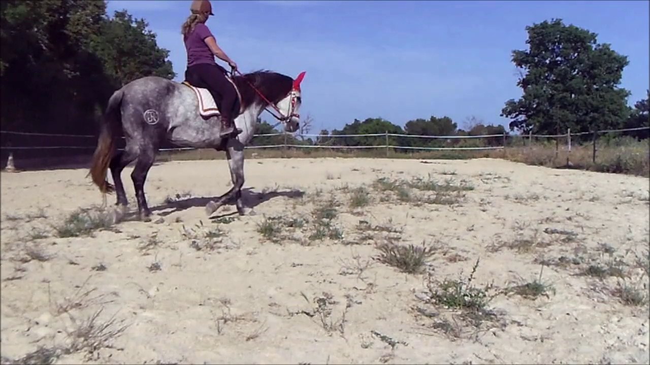 Nubia 07.06.14