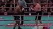 Mike Tyson vs Francois Botha - Final Punch