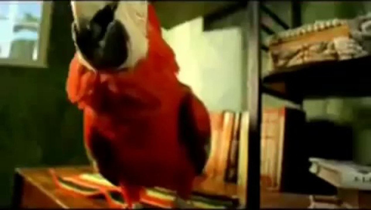 Happy Birthday, Reggae Style!