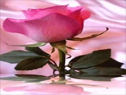 Naşide Öztürk Ahmet Şafak... Yaralı Gülüm