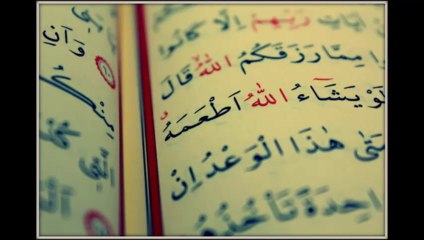 Mehmet Emin Ay - Haşr Suresi