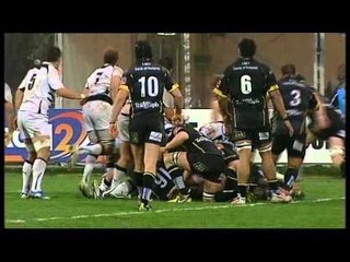 Zebre Ulster 18 11 12
