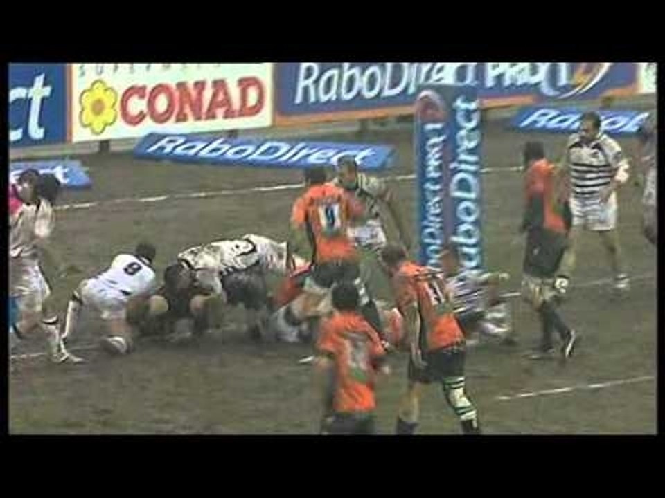 Zebre v Benetton
