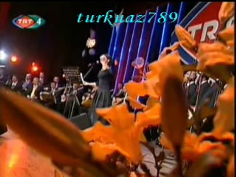 Selcan KÖKÇEN ŞAHİN-İnce Mehmed Martin Takmış Koluna