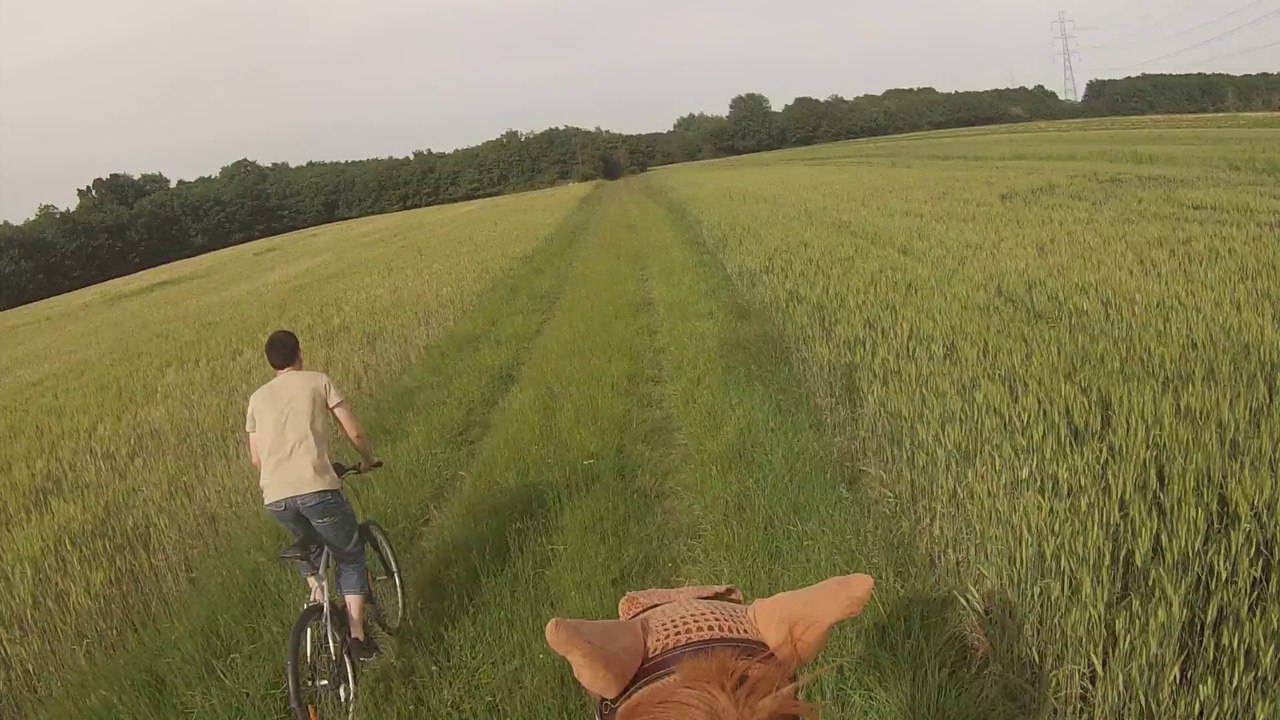 la balade du vendredi