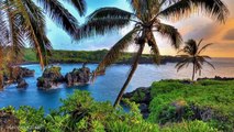 Hawaii et Ukulélé (Musique de Chris Wilson)