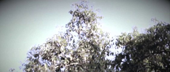 Jared Sagal - You Are My Sunshine